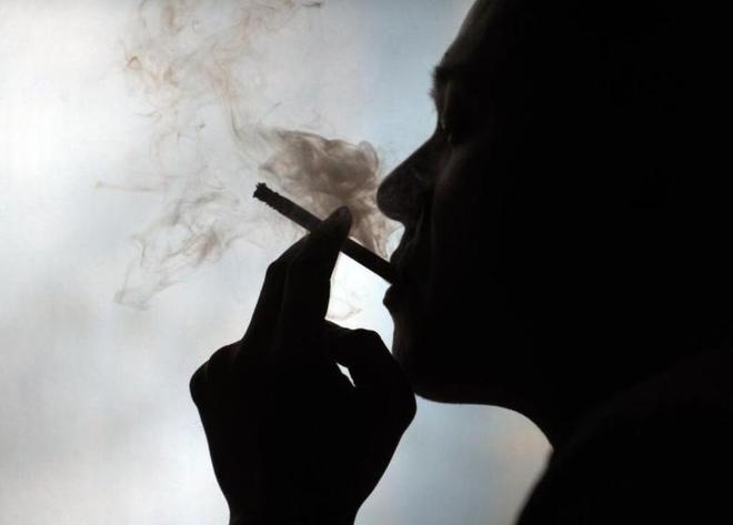 杨力维,真的太敢说了