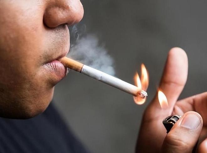 杨力维,真的太敢说了