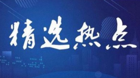 挪威止步八强,赖斯赛后安慰厄德高